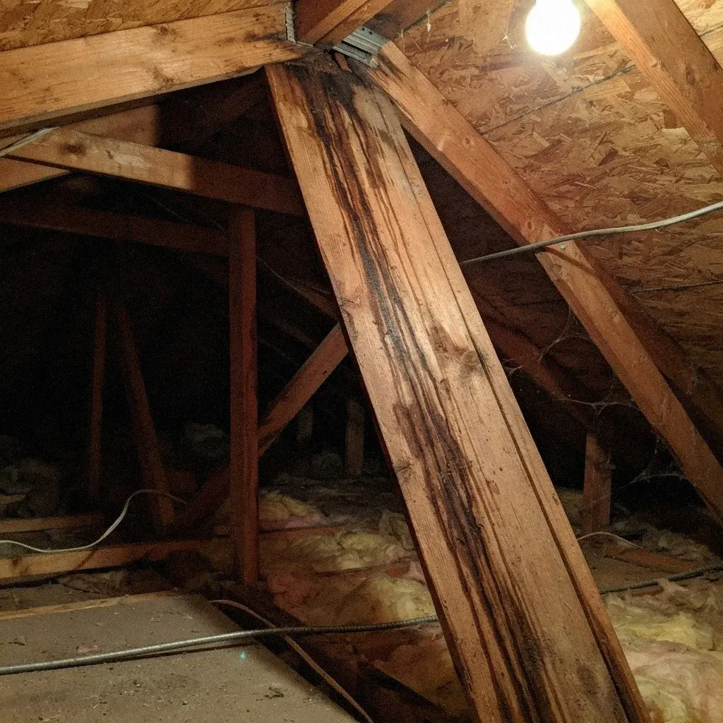 How Attic Airflow Controls Roof Moisture in Bellevue, WA